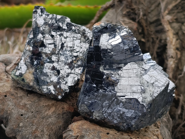 Natural Silver Lead Galena Specimens x 8 From Namibia