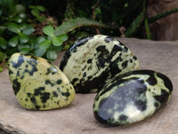 Polished Leopard Stone Free Forms x 6 From Zimbabwe