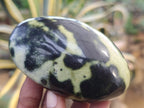 Polished Leopard Stone Free Forms x 6 From Zimbabwe - Toprock Gemstones and Minerals 
