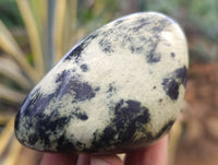 Polished Leopard Stone Free Forms x 6 From Zimbabwe