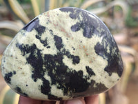 Polished Leopard Stone Free Forms x 6 From Zimbabwe