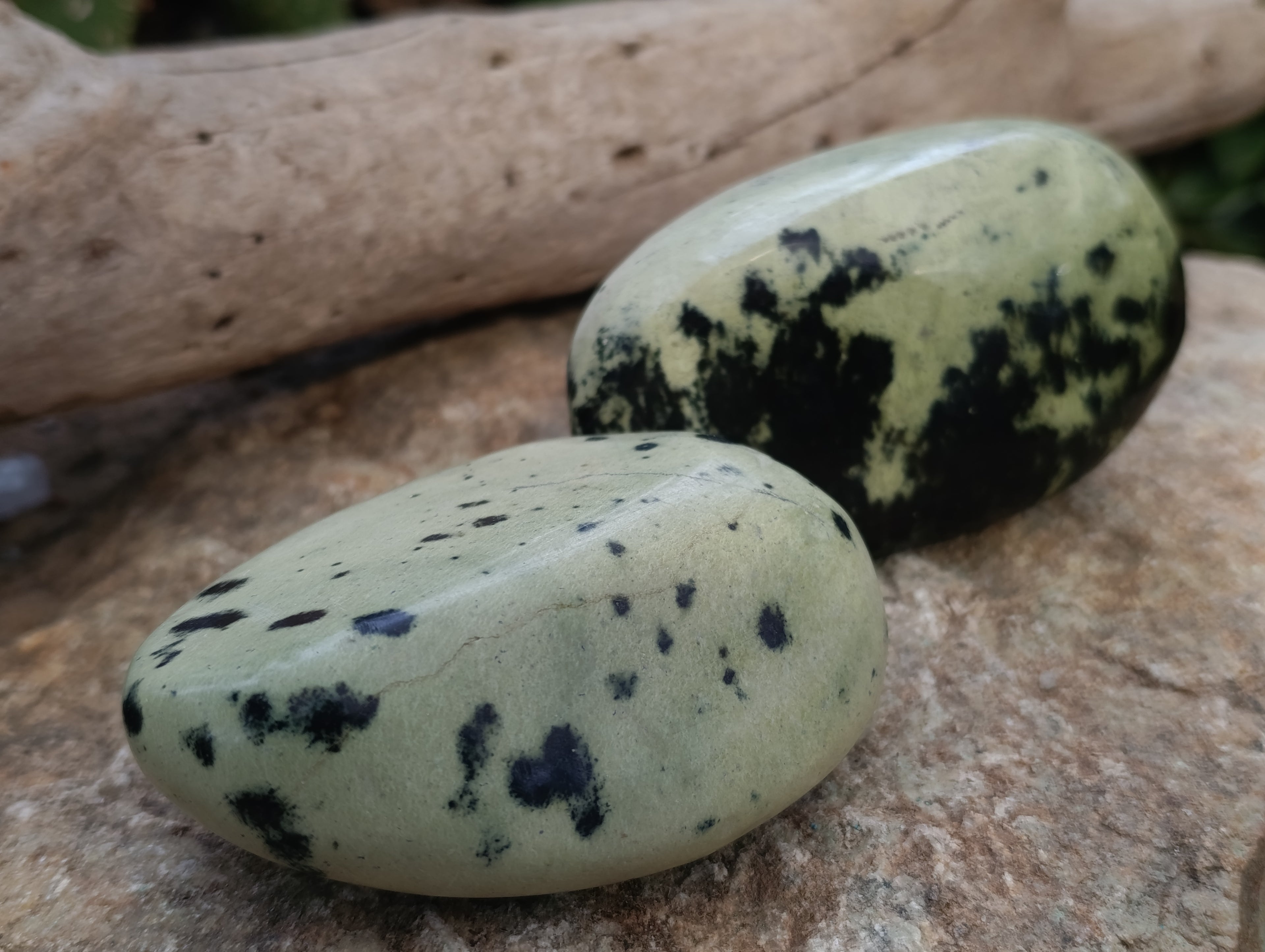 Polished Leopard Stone Free Forms x 6 From Zimbabwe - Toprock Gemstones and Minerals 