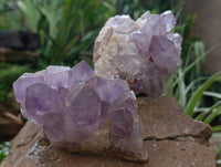Natural Jacaranda Amethyst Quartz Clusters x 3 From Mumbwa, Zambia - Toprock Gemstones and Minerals 