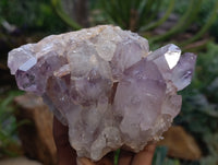 Natural Jacaranda Amethyst Quartz Clusters x 3 From Mumbwa, Zambia - Toprock Gemstones and Minerals 