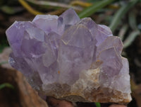 Natural Jacaranda Amethyst Quartz Clusters x 3 From Mumbwa, Zambia - Toprock Gemstones and Minerals 