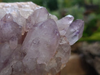 Natural Jacaranda Amethyst Quartz Clusters x 3 From Mumbwa, Zambia - Toprock Gemstones and Minerals 