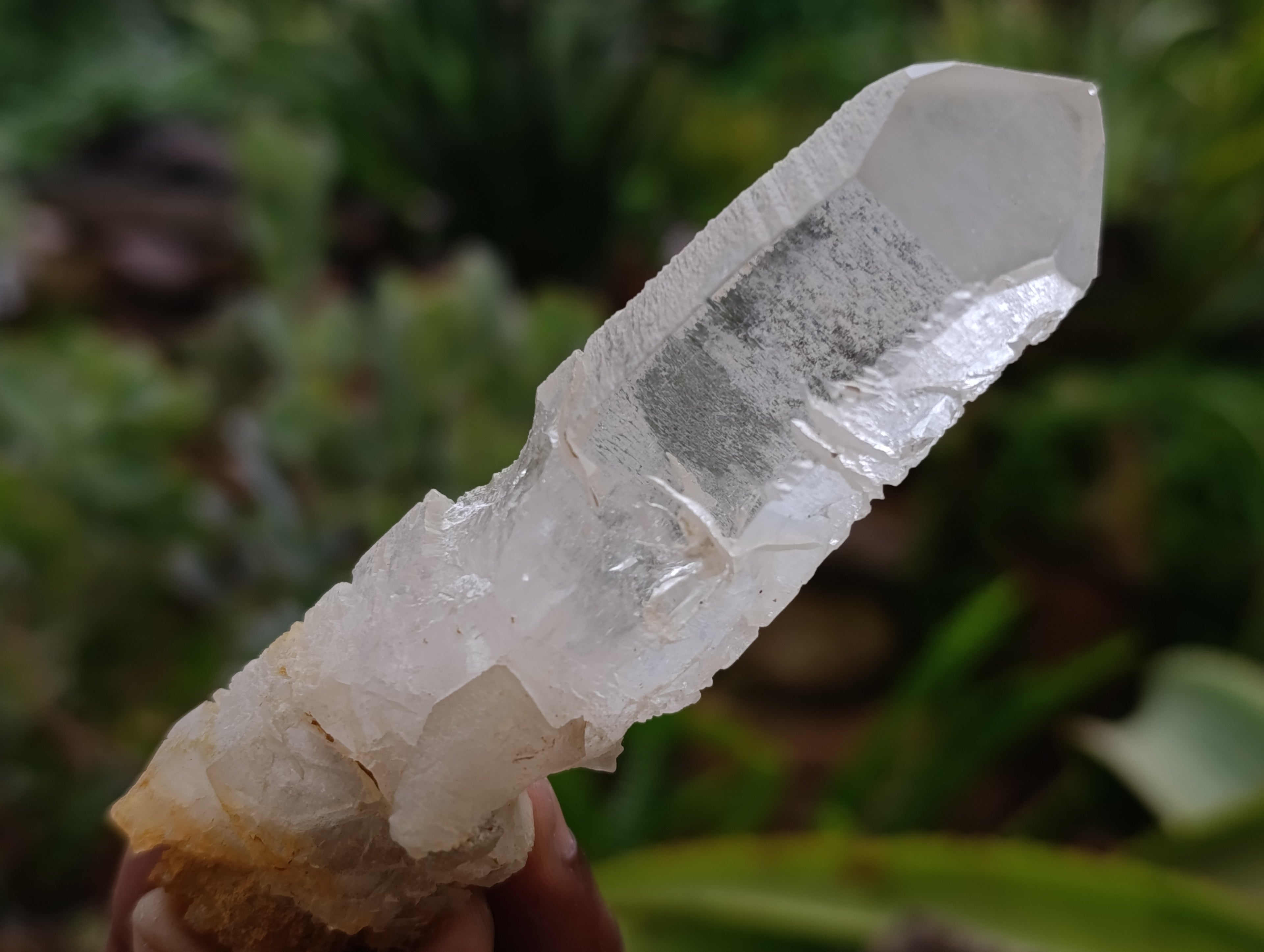 Natural Clear Quartz Crystals x 35 From Madagascar - Toprock Gemstones and Minerals 
