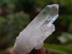 Natural Clear Quartz Crystals x 35 From Madagascar - Toprock Gemstones and Minerals 