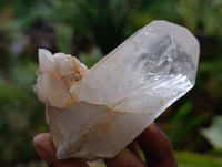 Natural Clear Quartz Crystals x 35 From Madagascar