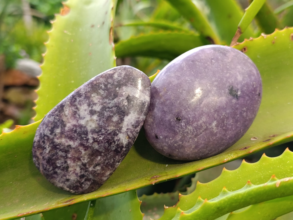 Polished Lepidolite Free Forms x 6 From Zimbabwe - Toprock Gemstones and Minerals 