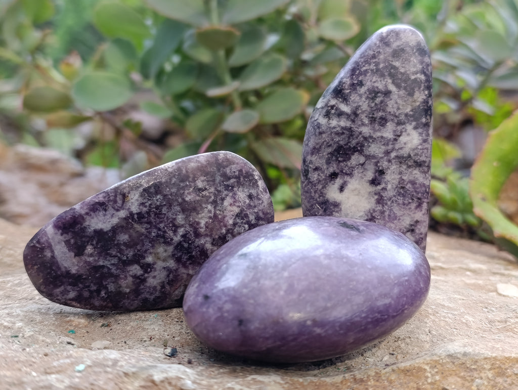Polished Lepidolite Free Forms x 6 From Zimbabwe - Toprock Gemstones and Minerals 