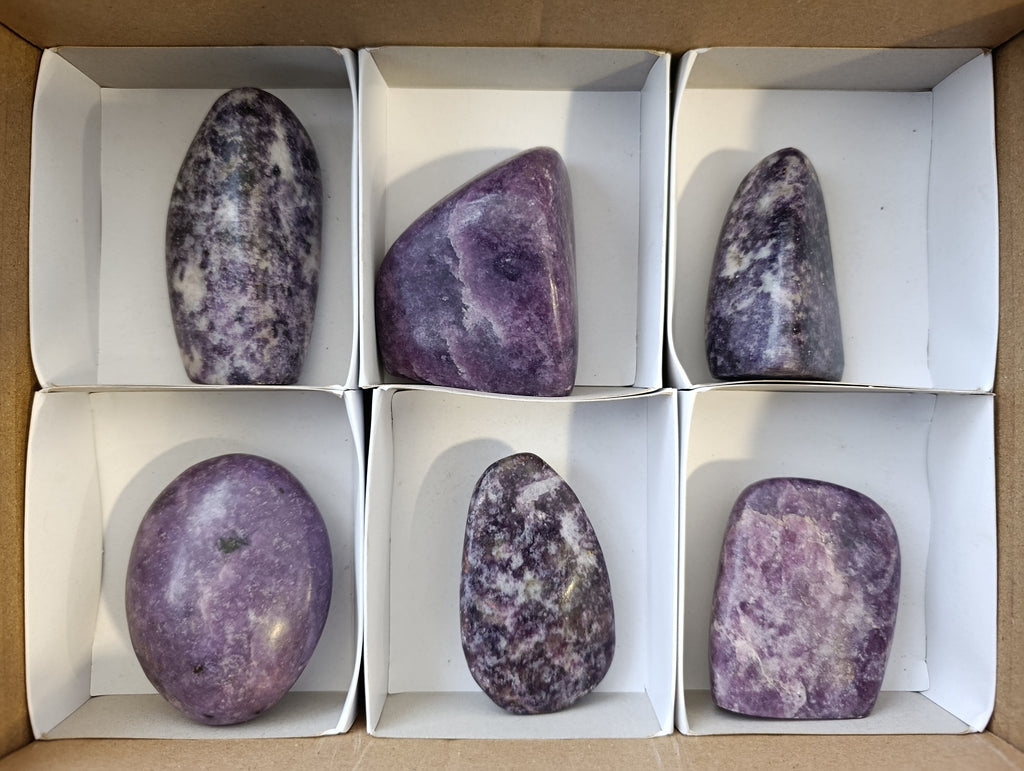 Polished Lepidolite Free Forms x 6 From Zimbabwe - Toprock Gemstones and Minerals 