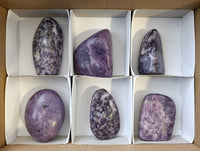 Polished Lepidolite Free Forms x 6 From Zimbabwe