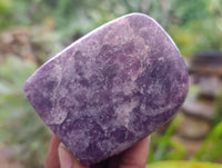 Polished Lepidolite Free Forms x 6 From Zimbabwe