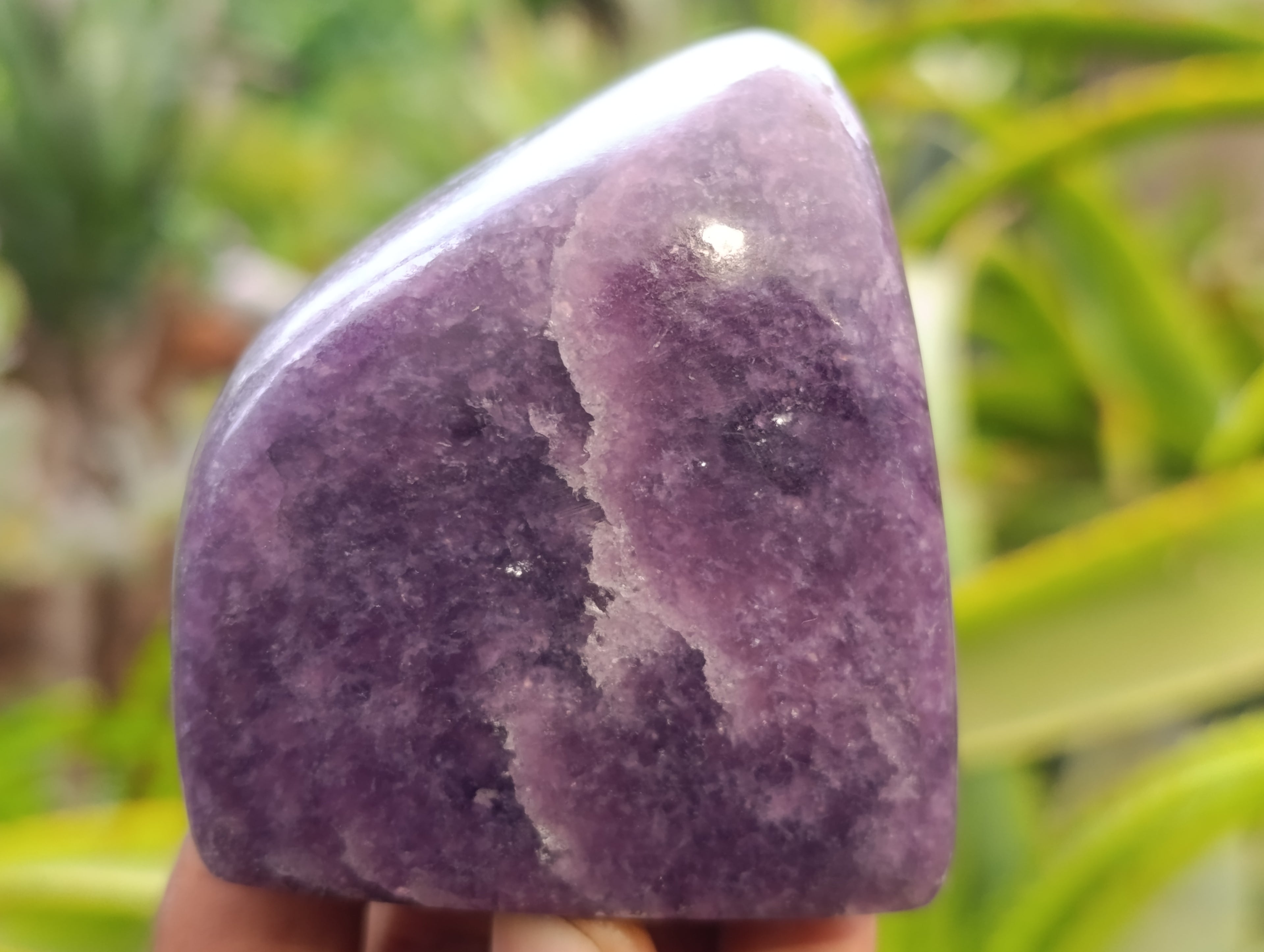 Polished Lepidolite Free Forms x 6 From Zimbabwe - Toprock Gemstones and Minerals 