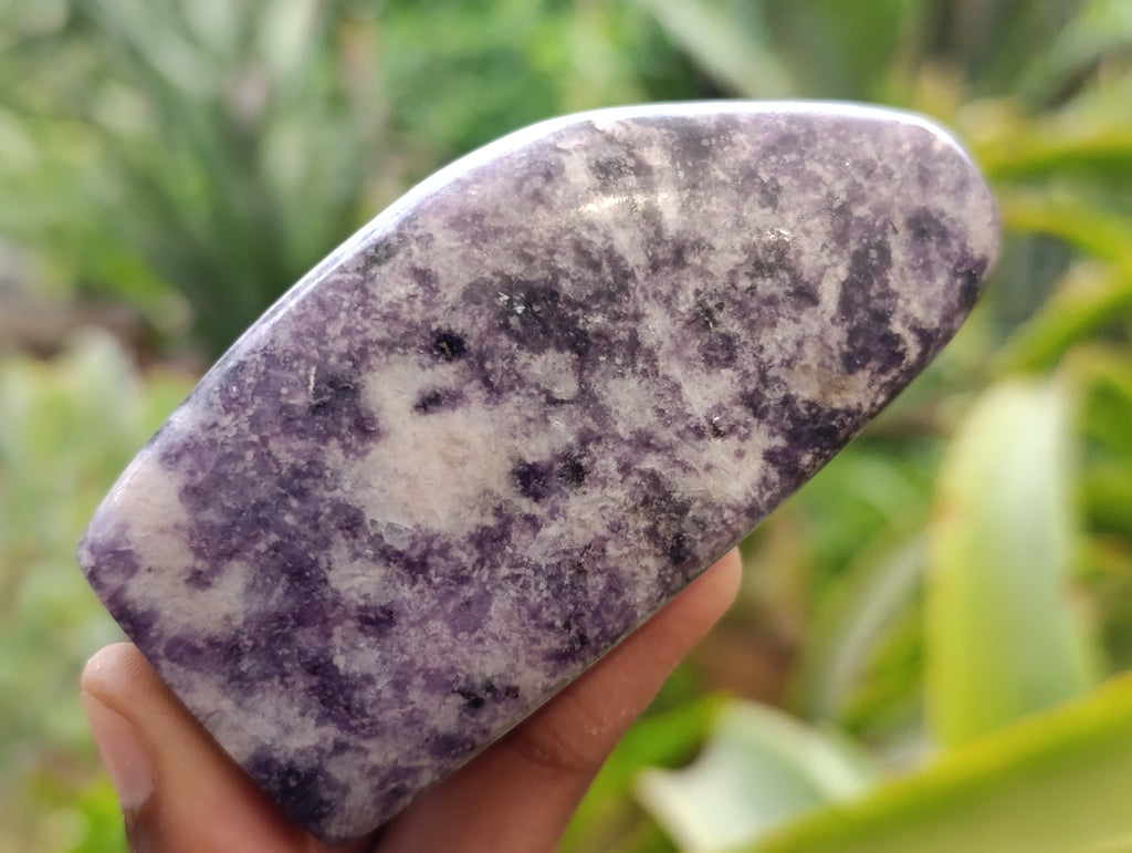 Polished Lepidolite Free Forms x 6 From Zimbabwe - Toprock Gemstones and Minerals 