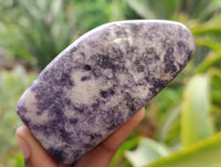 Polished Lepidolite Free Forms x 6 From Zimbabwe