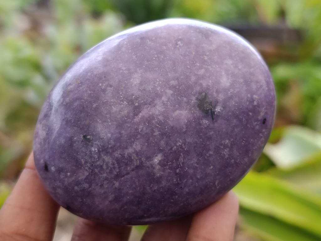 Polished Lepidolite Free Forms x 6 From Zimbabwe - Toprock Gemstones and Minerals 