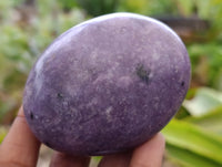 Polished Lepidolite Free Forms x 6 From Zimbabwe