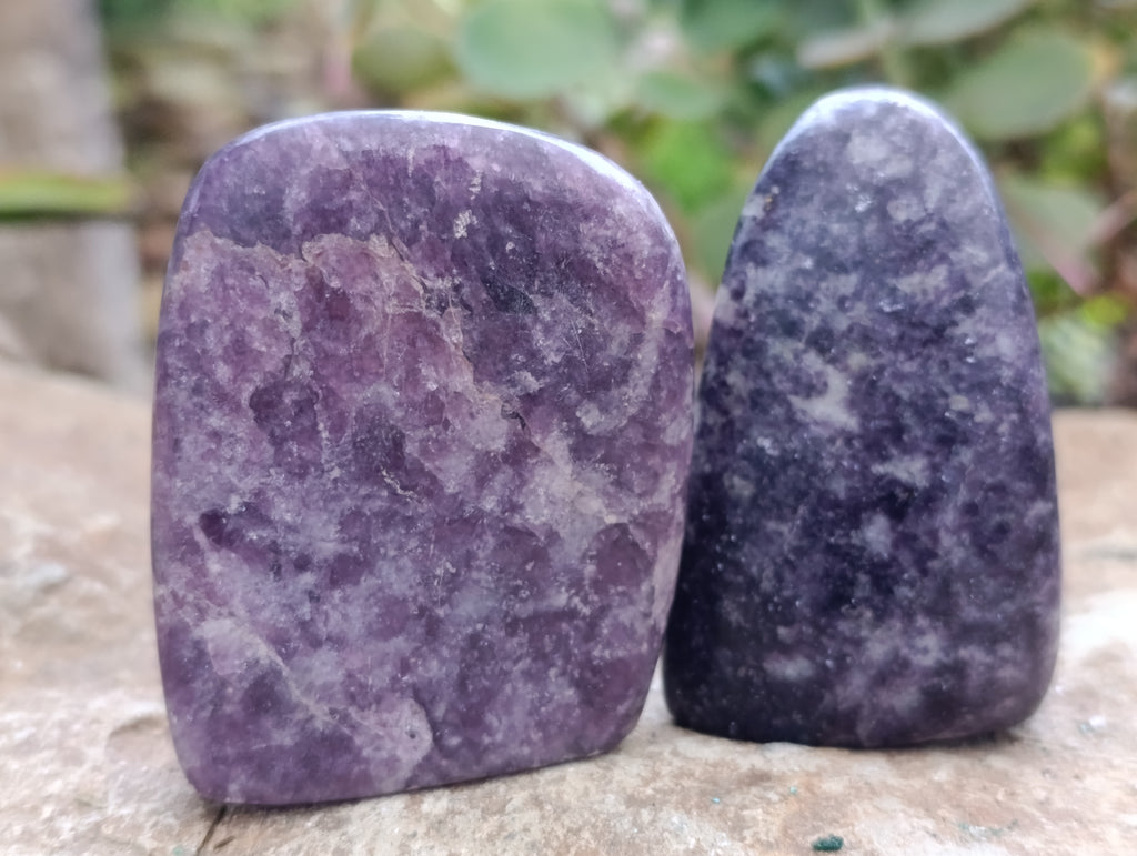 Polished Lepidolite Free Forms x 6 From Zimbabwe - Toprock Gemstones and Minerals 