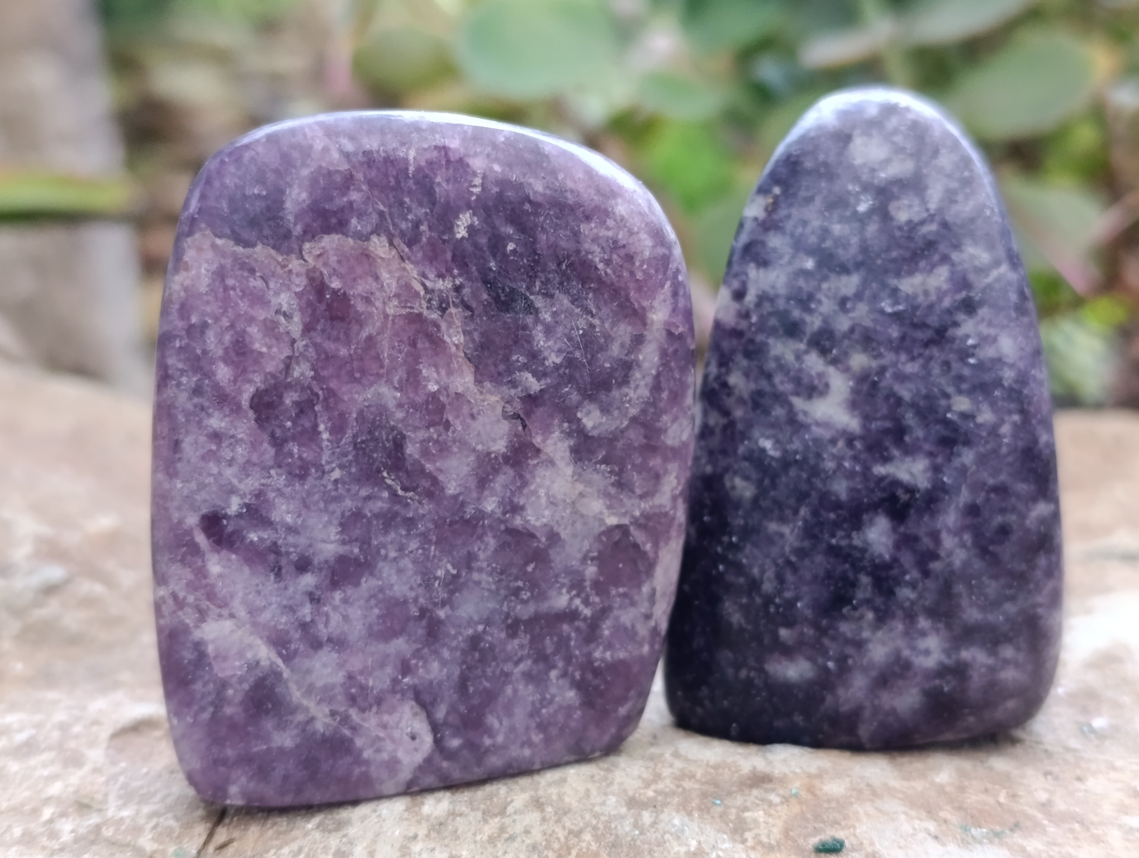 Polished Lepidolite Free Forms x 6 From Zimbabwe - Toprock Gemstones and Minerals 