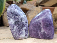 Polished Lepidolite Free Forms x 6 From Zimbabwe