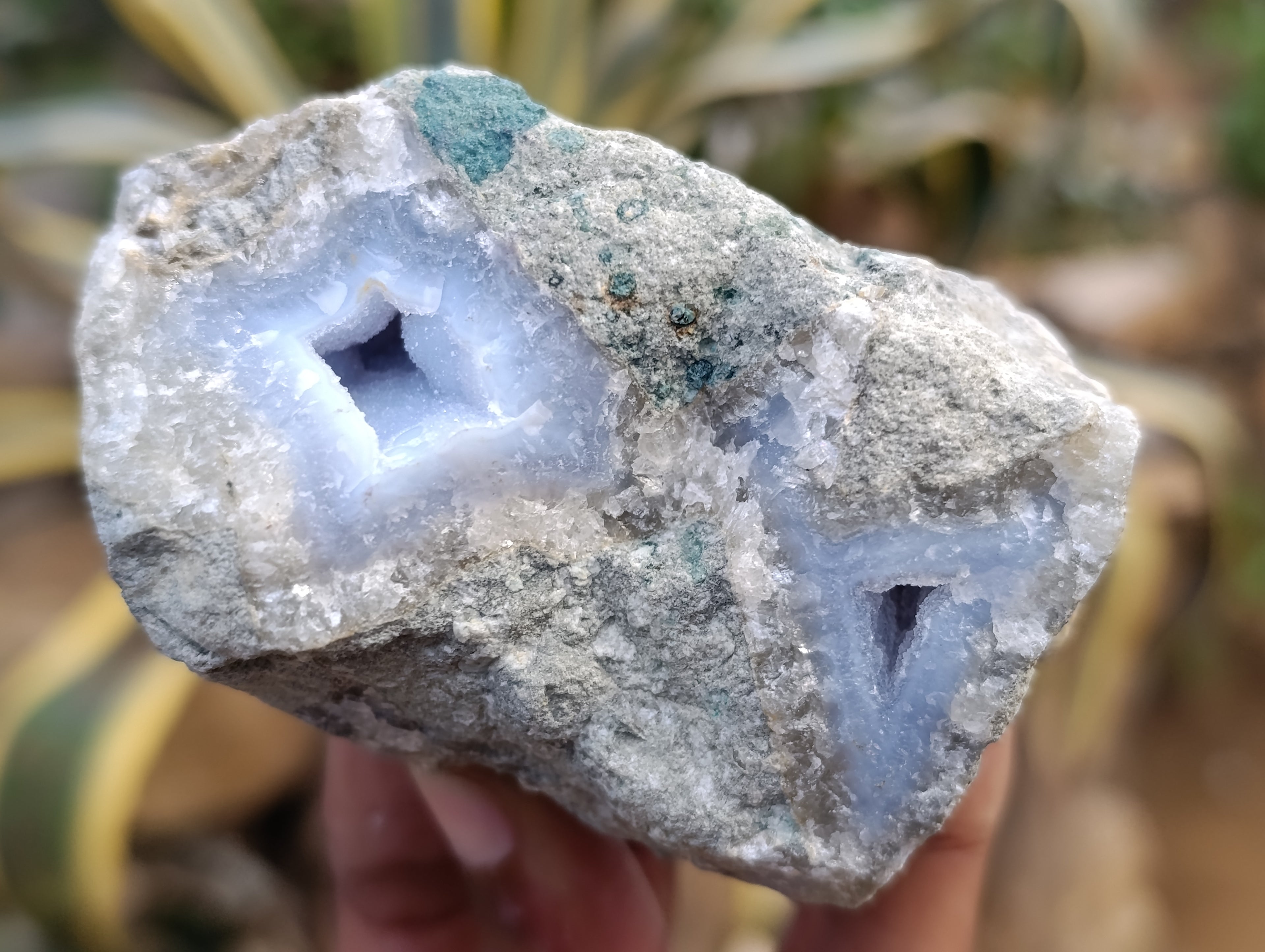Natural Blue Lace Agate Geode Specimens x 12 From Nsanje, Malawi - Toprock Gemstones and Minerals 