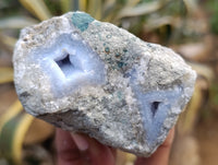 Natural Blue Lace Agate Geode Specimens x 12 From Nsanje, Malawi