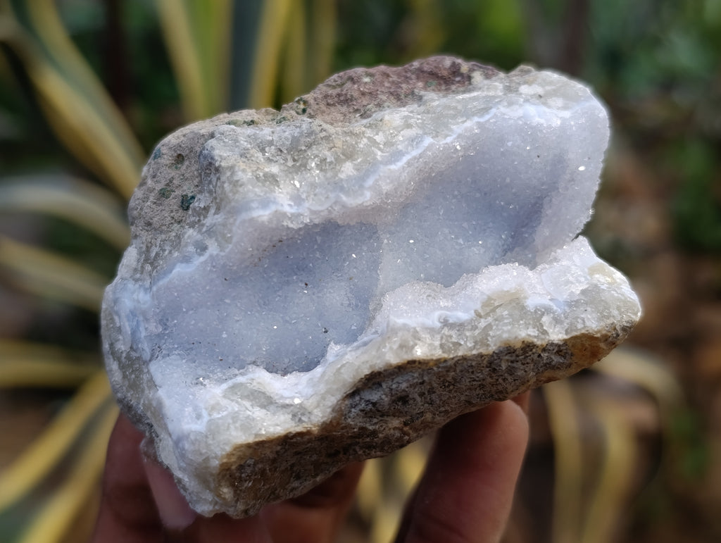 Natural Blue Lace Agate Geode Specimens x 12 From Nsanje, Malawi - Toprock Gemstones and Minerals 