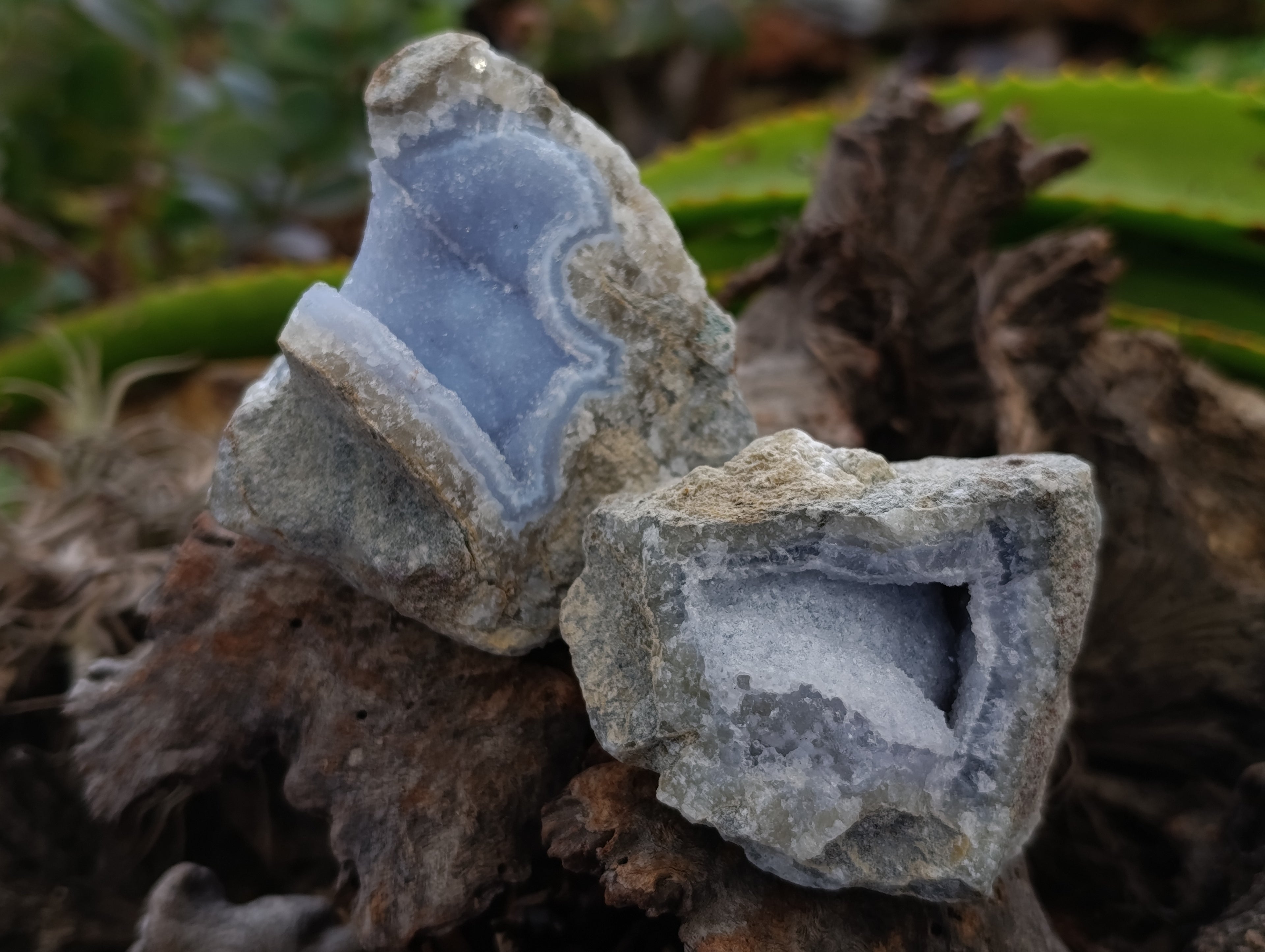 Natural Blue Lace Agate Geode Specimens x 12 From Nsanje, Malawi - Toprock Gemstones and Minerals 