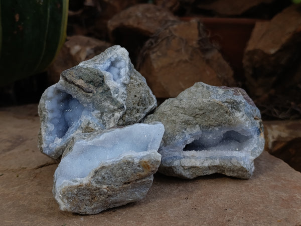 Natural Blue Lace Agate Geode Specimens x 12 From Nsanje, Malawi