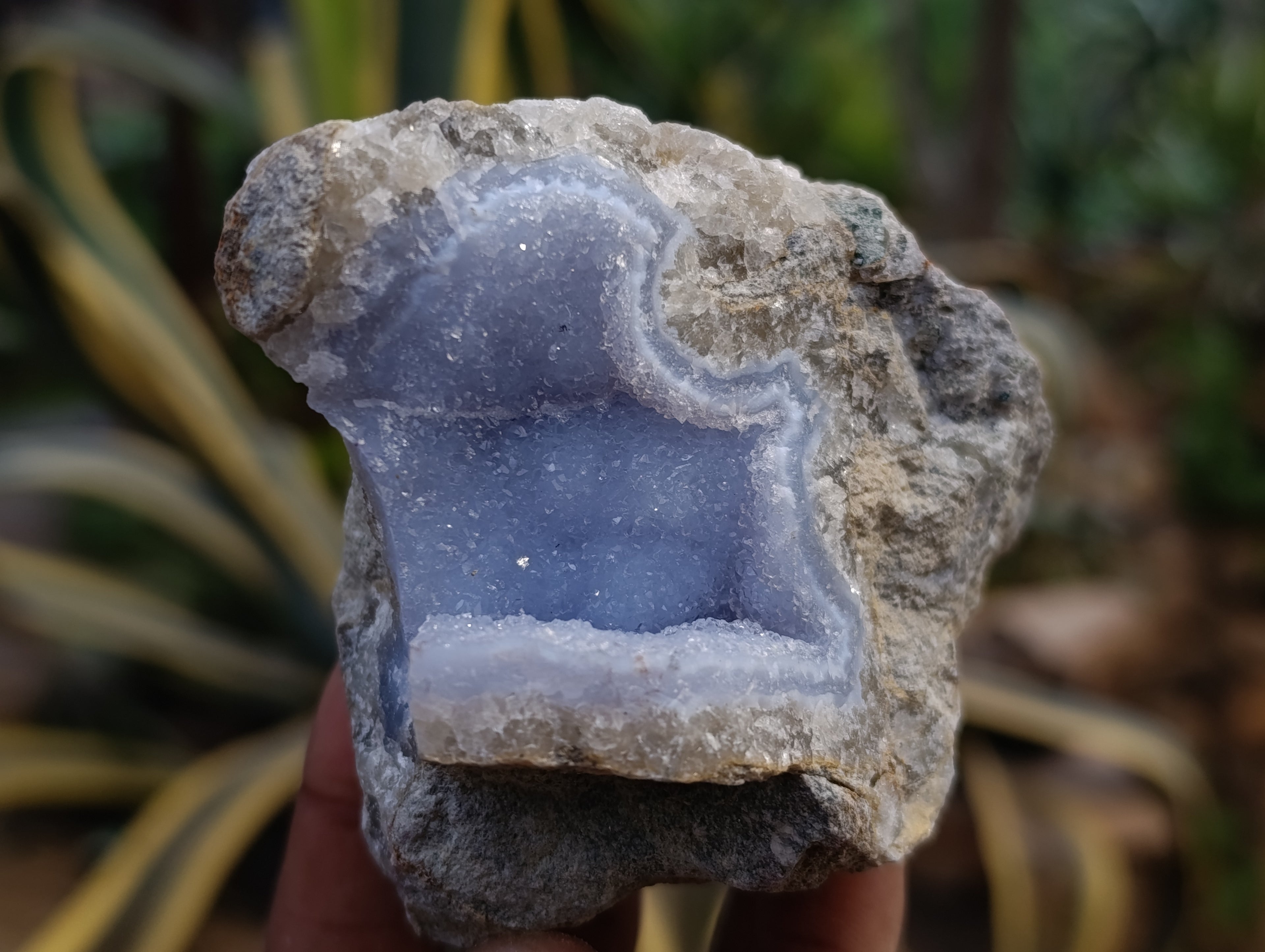 Natural Blue Lace Agate Geode Specimens x 12 From Nsanje, Malawi - Toprock Gemstones and Minerals 