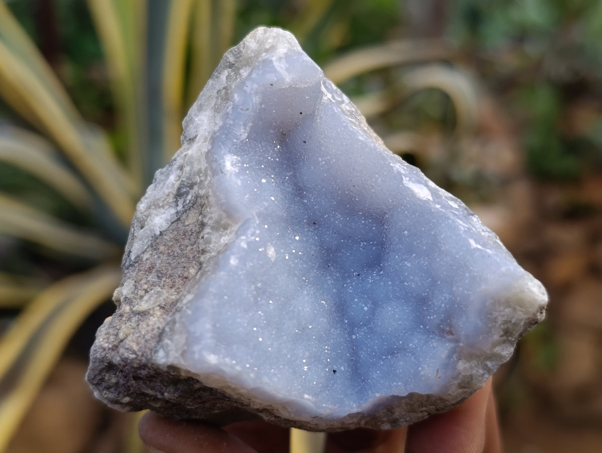 Natural Blue Lace Agate Geode Specimens x 12 From Nsanje, Malawi - Toprock Gemstones and Minerals 