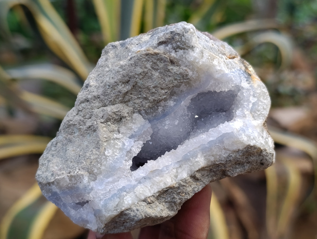 Natural Blue Lace Agate Geode Specimens x 12 From Nsanje, Malawi - Toprock Gemstones and Minerals 