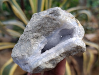 Natural Blue Lace Agate Geode Specimens x 12 From Nsanje, Malawi