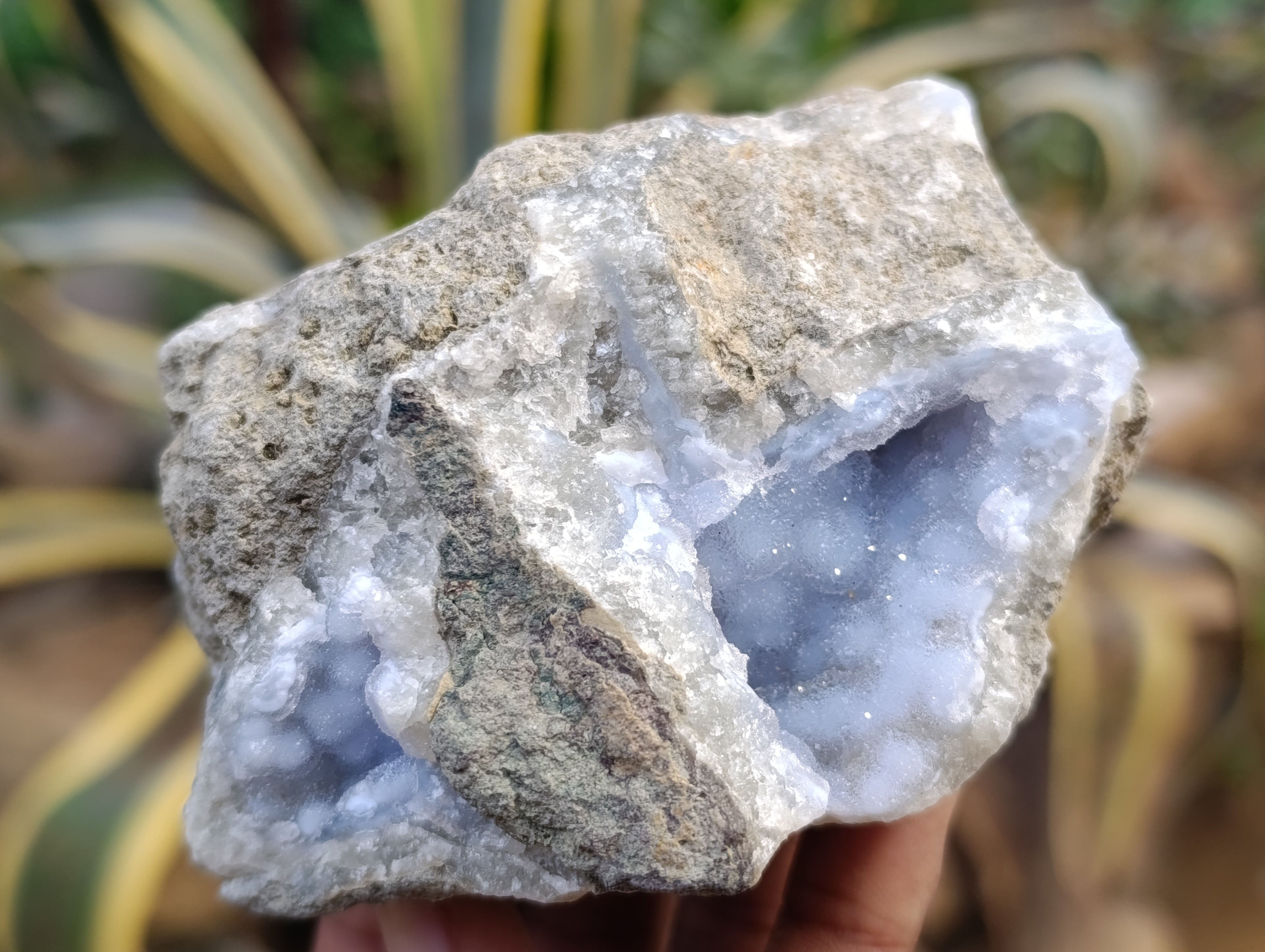 Natural Blue Lace Agate Geode Specimens x 12 From Nsanje, Malawi - Toprock Gemstones and Minerals 