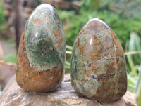 Polished Chrysoprase Standing Free Forms x 6 From Madagascar
