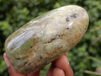 Polished Chrysoprase Standing Free Forms x 6 From Madagascar