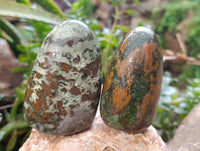 Polished Chrysoprase Standing Free Forms x 6 From Madagascar