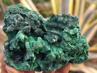 Natural Silky Malachite Specimens x 6 From Kasompe, Congo - Toprock Gemstones and Minerals 