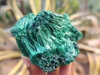 Natural Silky Malachite Specimens x 6 From Kasompe, Congo - Toprock Gemstones and Minerals 