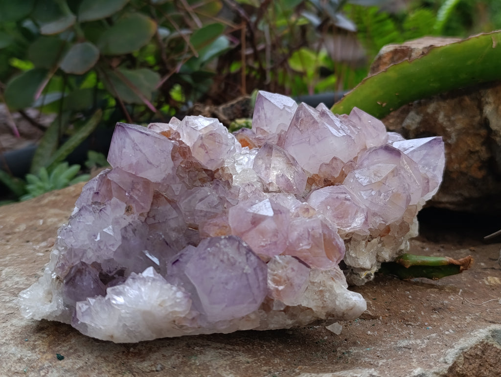 Natural Dark Amethyst Spirit Quartz Clusters x 3 From Boekenhouthoek, South Africa - Toprock Gemstones and Minerals 