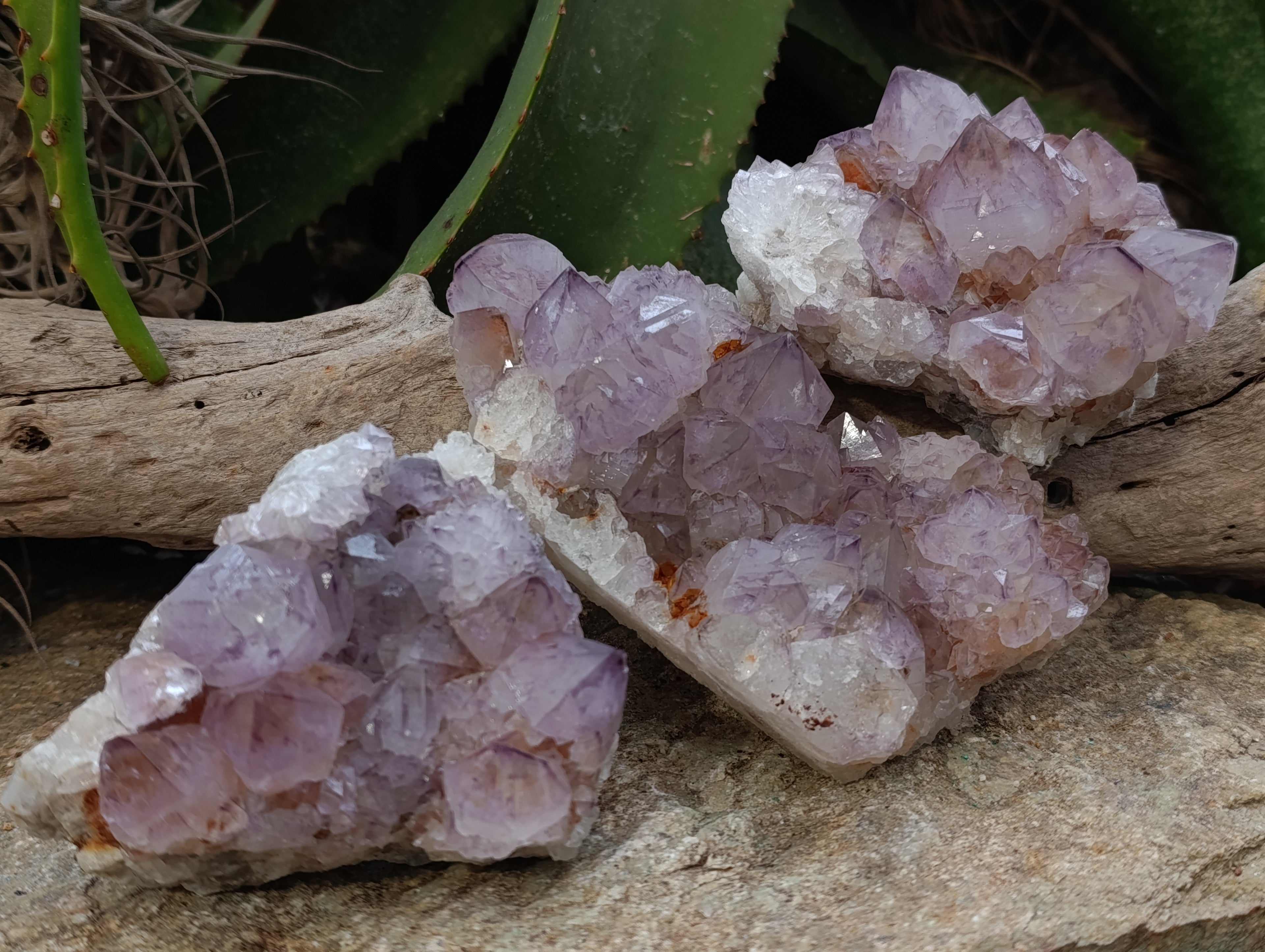 Natural Dark Amethyst Spirit Quartz Clusters x 3 From Boekenhouthoek, South Africa - Toprock Gemstones and Minerals 