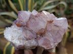 Natural Dark Amethyst Spirit Quartz Clusters x 3 From Boekenhouthoek, South Africa - Toprock Gemstones and Minerals 