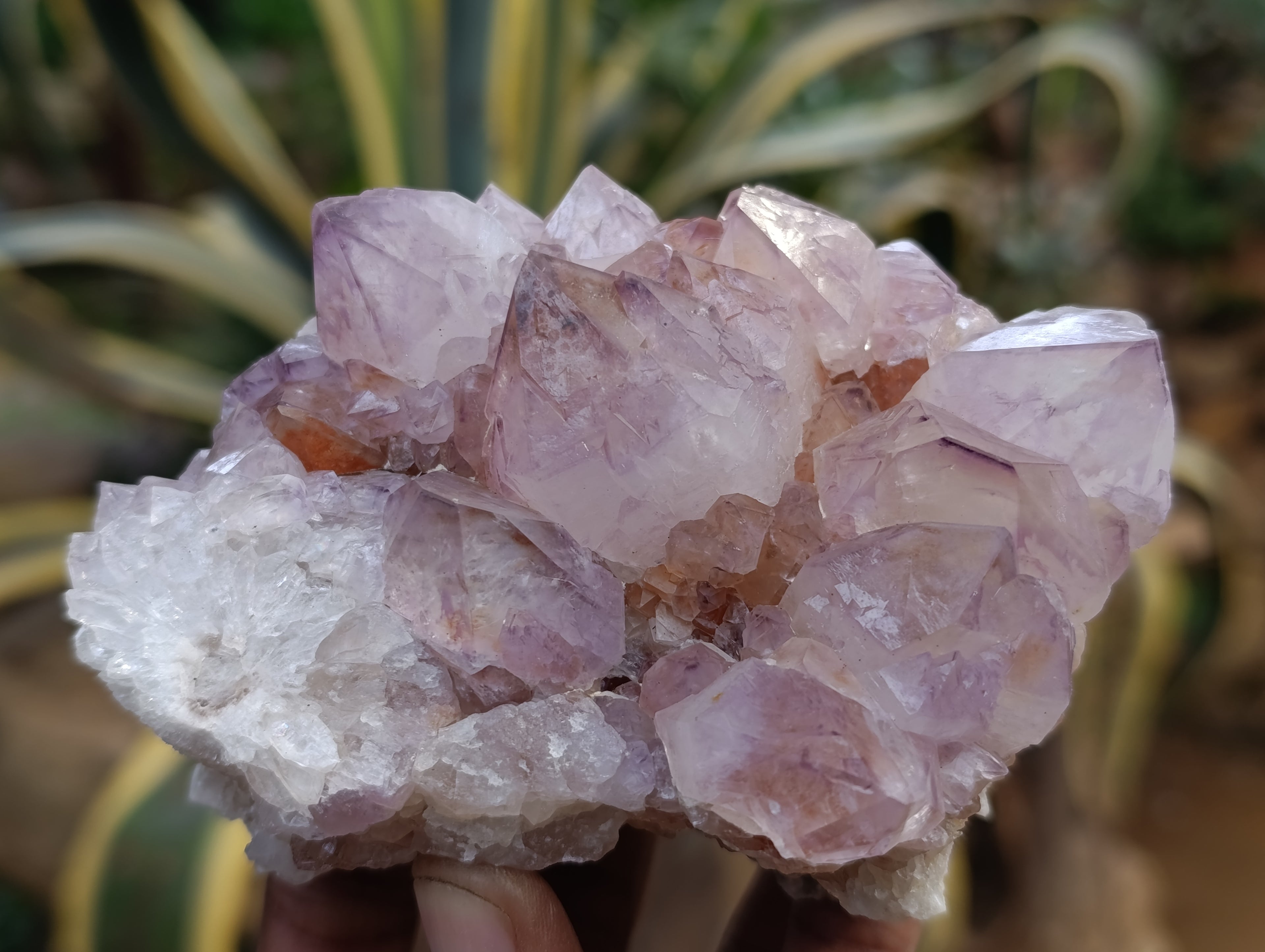 Natural Dark Amethyst Spirit Quartz Clusters x 3 From Boekenhouthoek, South Africa - Toprock Gemstones and Minerals 
