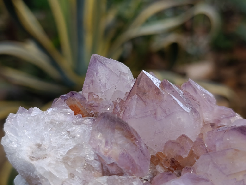 Natural Dark Amethyst Spirit Quartz Clusters x 3 From Boekenhouthoek, South Africa - Toprock Gemstones and Minerals 