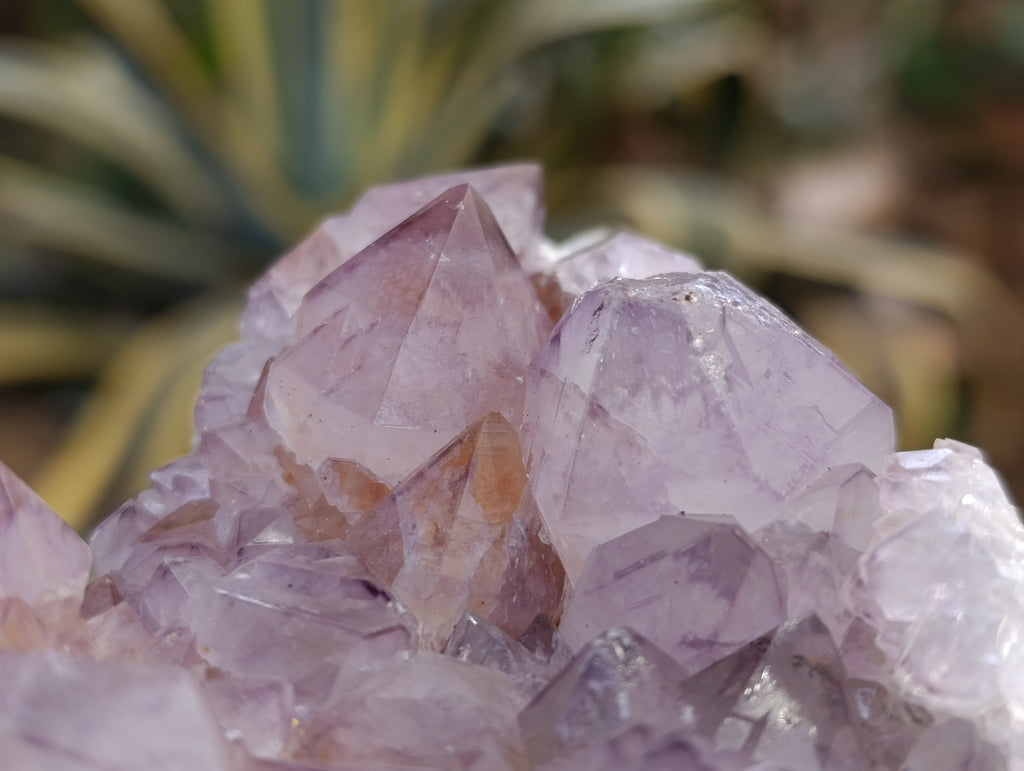 Natural Dark Amethyst Spirit Quartz Clusters x 3 From Boekenhouthoek, South Africa - Toprock Gemstones and Minerals 