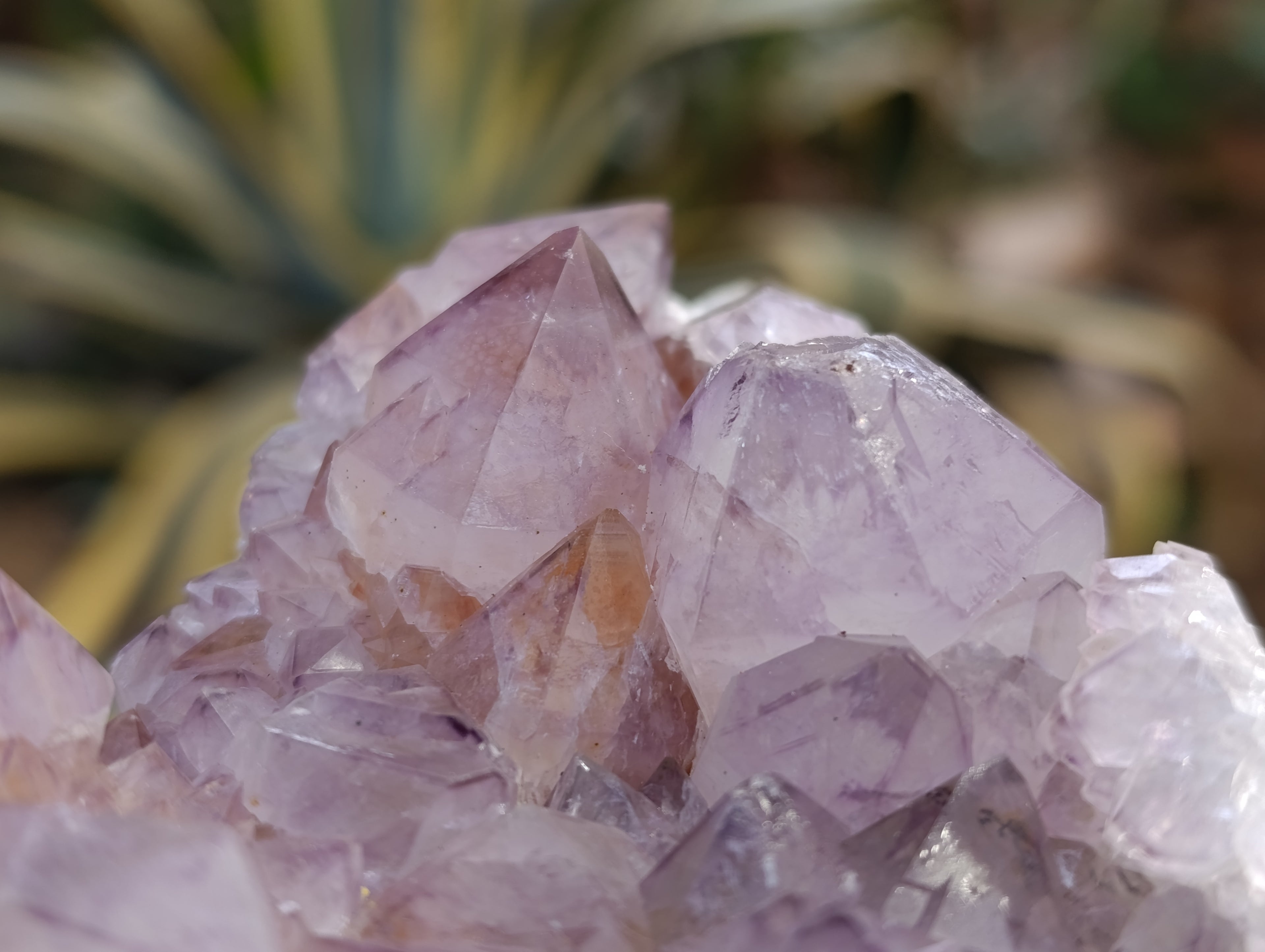 Natural Dark Amethyst Spirit Quartz Clusters x 3 From Boekenhouthoek, South Africa - Toprock Gemstones and Minerals 