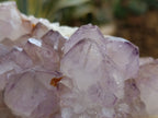 Natural Dark Amethyst Spirit Quartz Clusters x 3 From Boekenhouthoek, South Africa - Toprock Gemstones and Minerals 