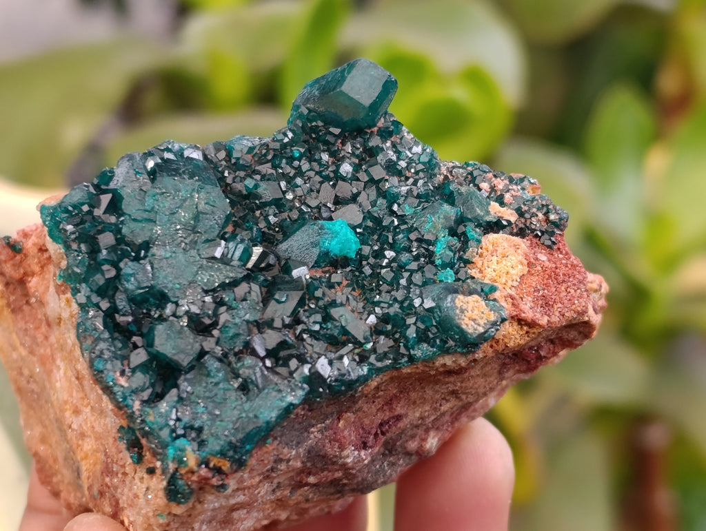 Natural Rare Dioptase and Malachite Specimens x 4 From Likasi, Congo - Toprock Gemstones and Minerals 